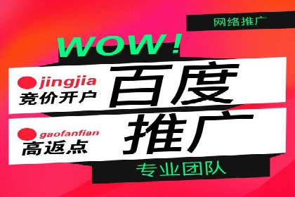 SEM推广实战：成功案例剖析
